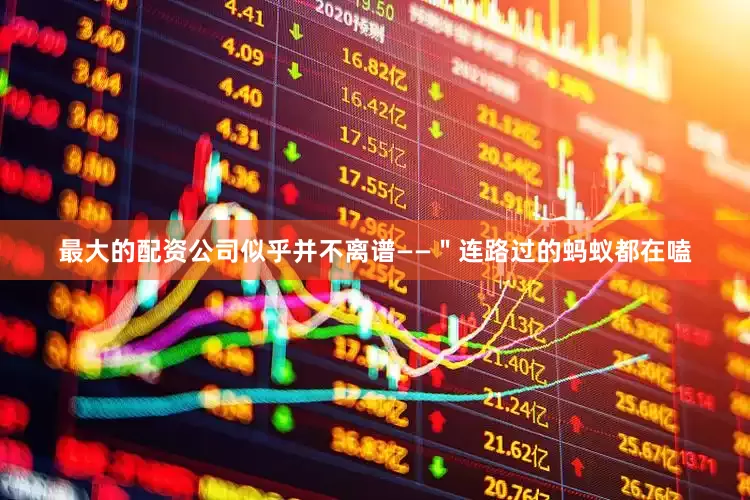 最大的配资公司似乎并不离谱——＂连路过的蚂蚁都在嗑