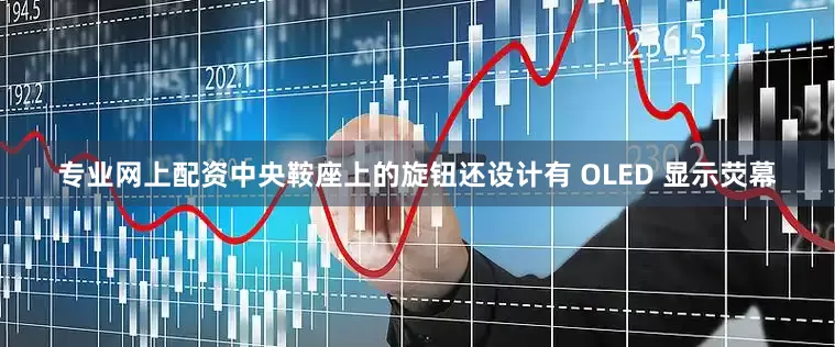 专业网上配资中央鞍座上的旋钮还设计有 OLED 显示荧幕