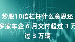 炒股10倍杠杆什么意思还有多家车企 6 月交付超过 3 万辆